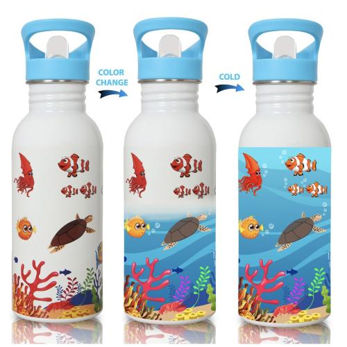 Knack World Magic Bottle - 600ML